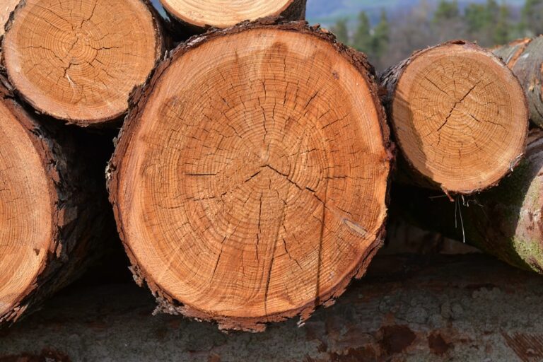 Alles over verf verwijderen van hout: eenvoudige en slimme manieren Alles over verf verwijderen van hout: eenvoudige en slimme manieren