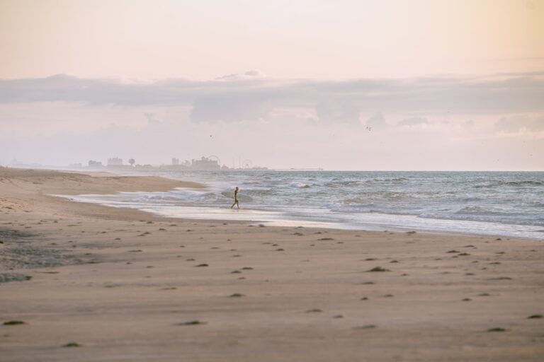 Dit zijn de populairste kapsels dames 2025